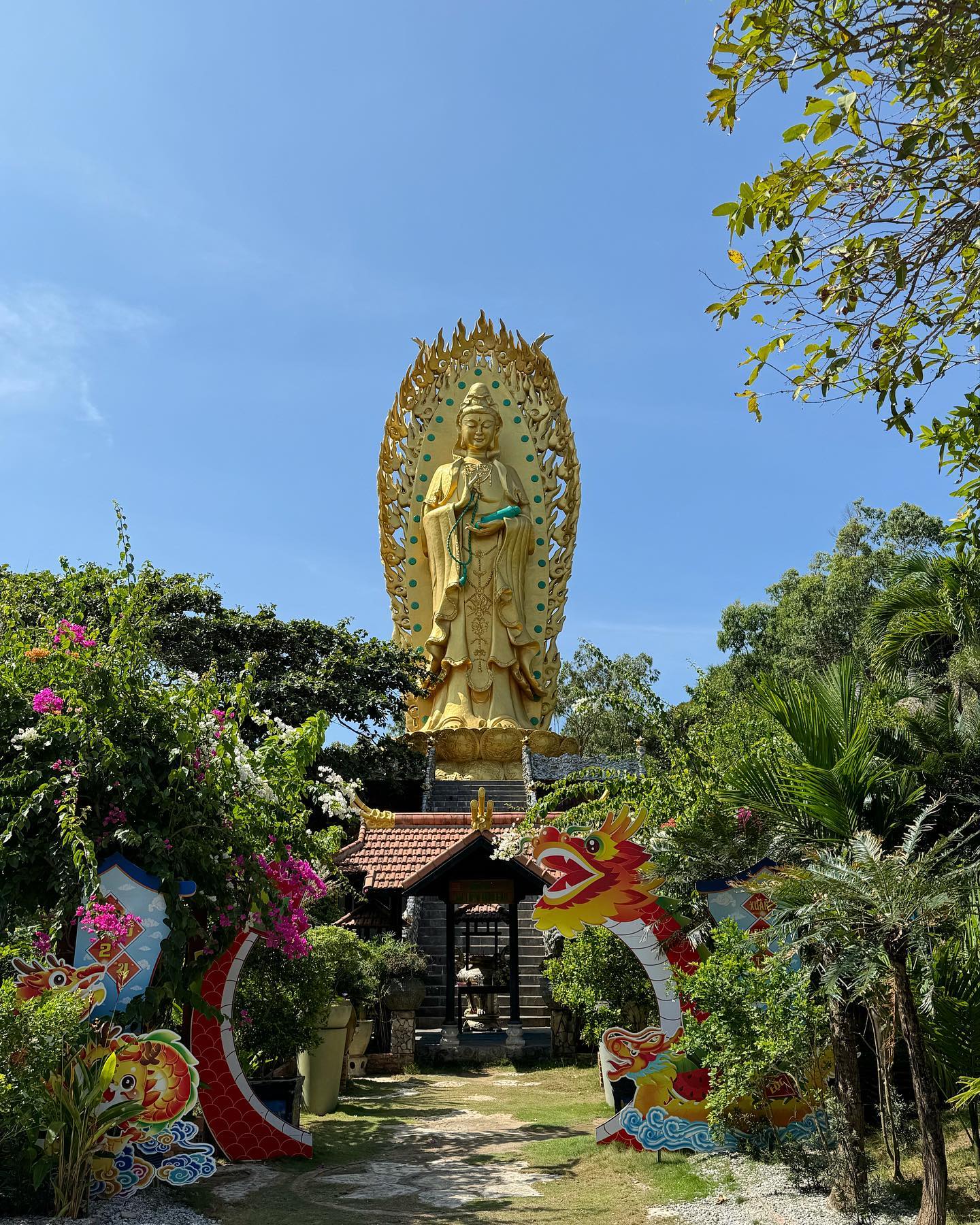 一日游 I 参观奇科岛 - 风口和体验富昂迈沙丘 I 归仁